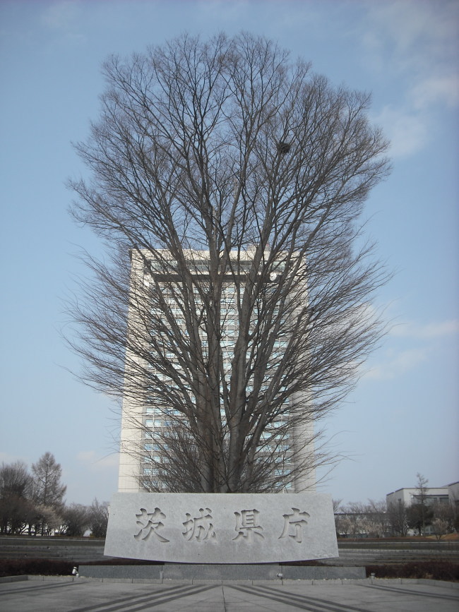 ��錧�����̐�