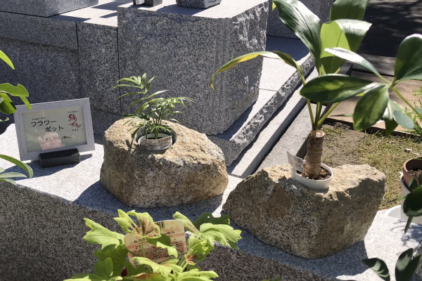 2018ストーンフェス